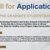Call for Applications: PhD Graduate Studentship